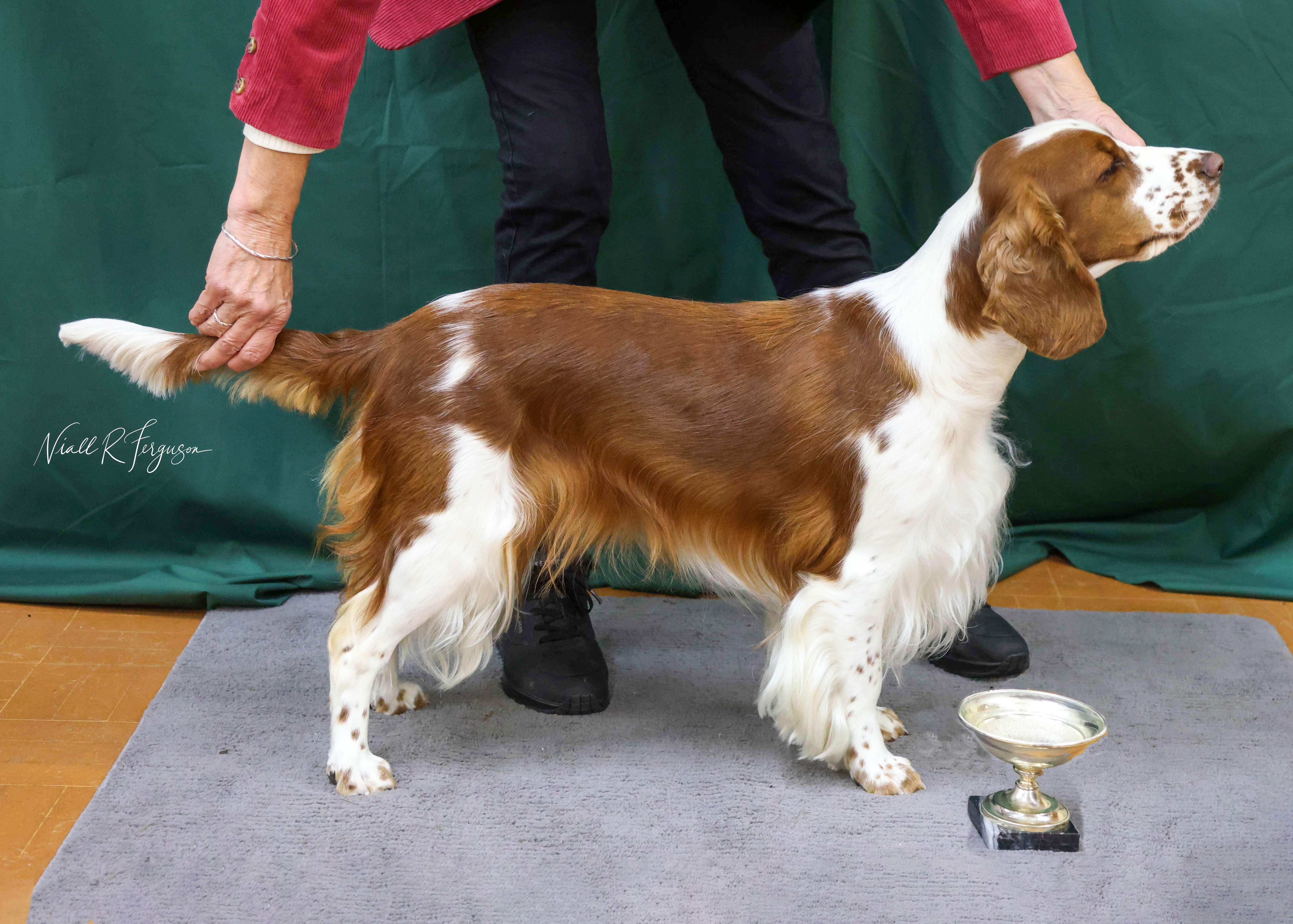 Special Beginners Bitch